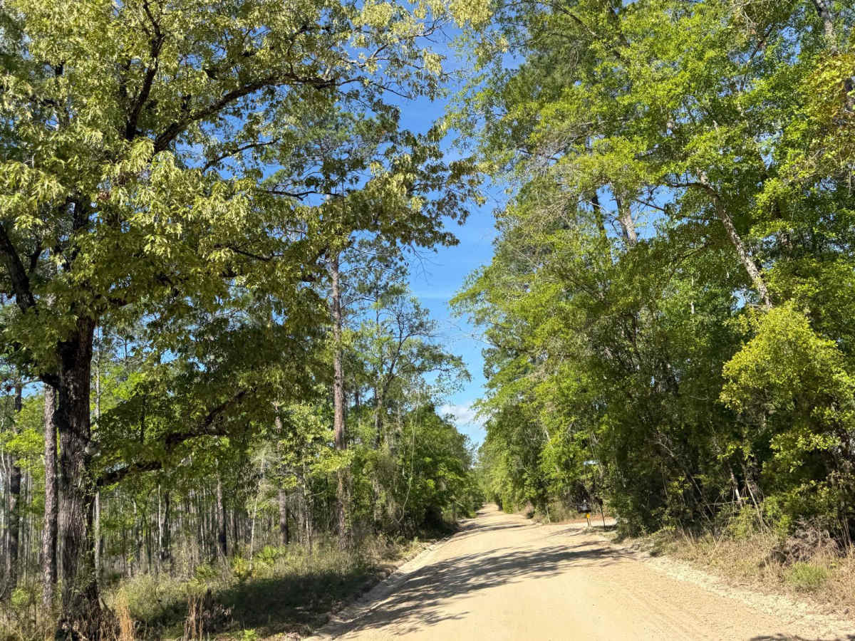 Evano Trail photo 2