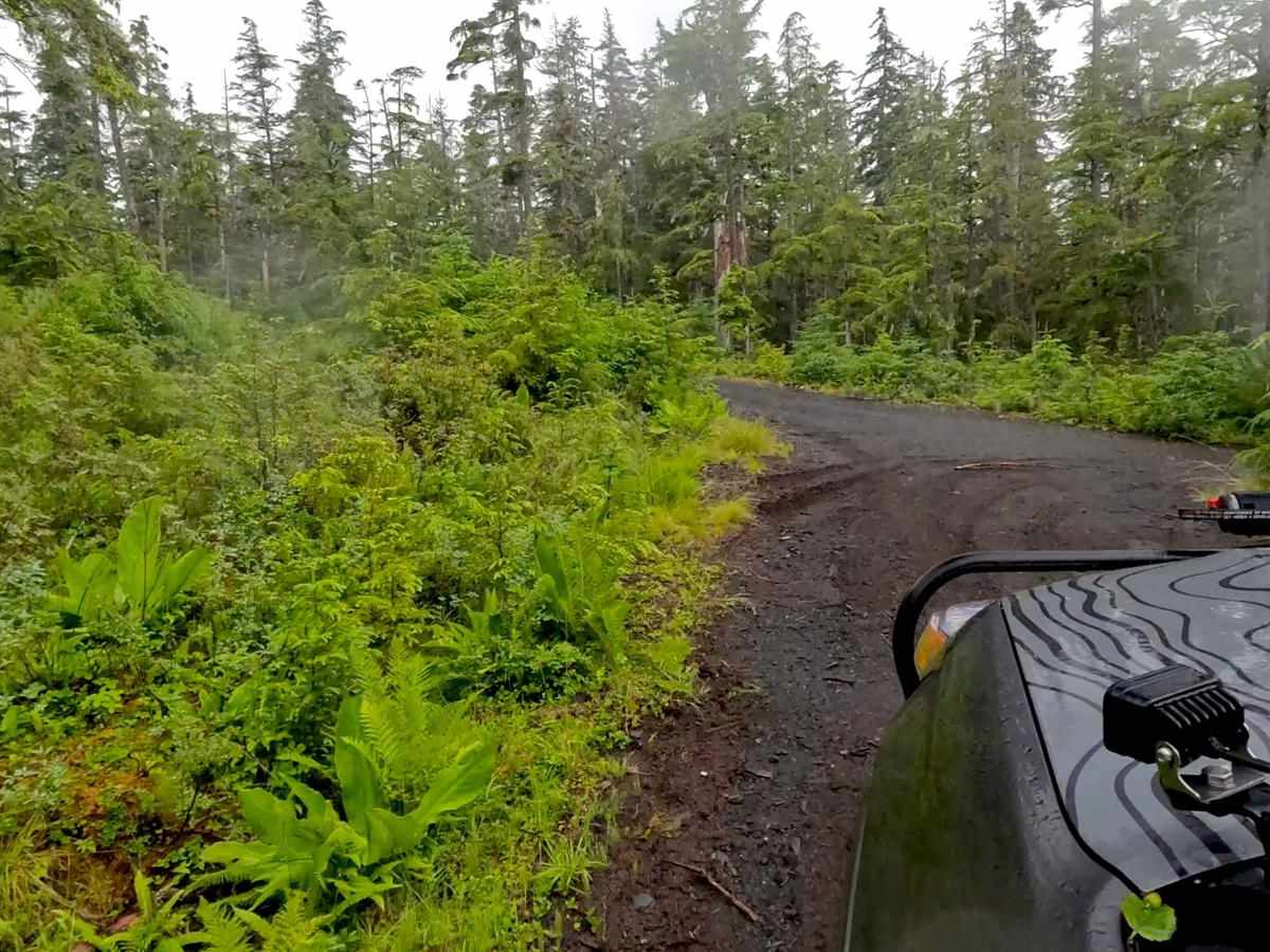 Froot Loops Spur 1 trail photo