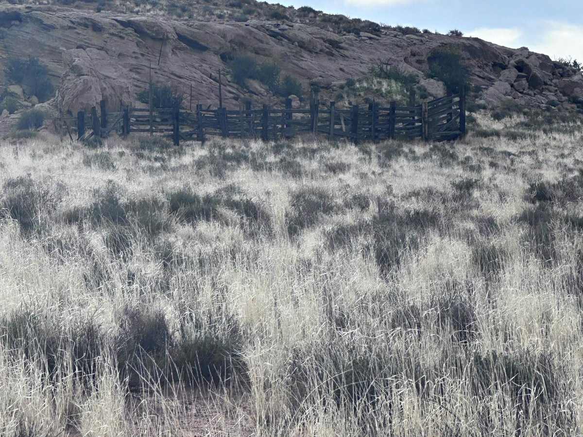 Ten Mile Road photo 6