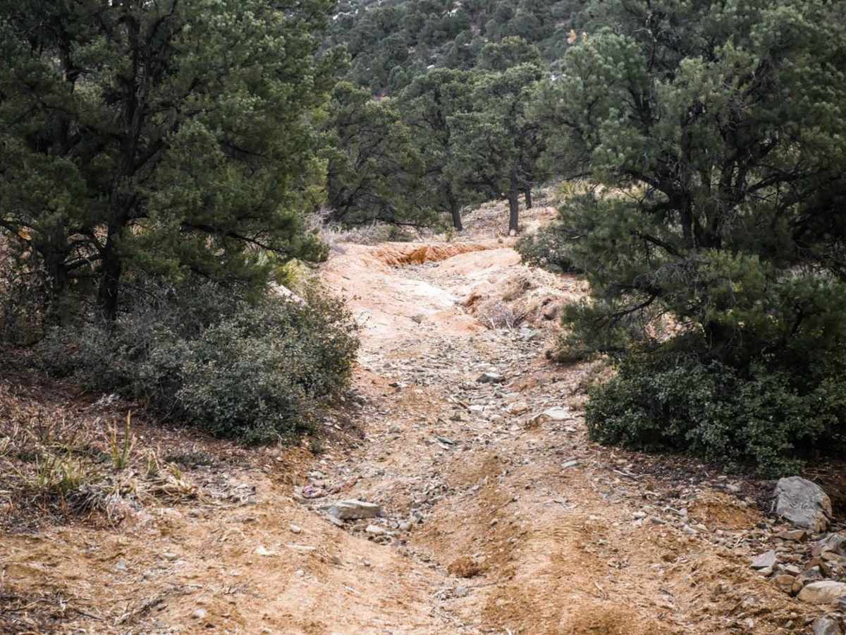 BLM Route 7125 trail photo