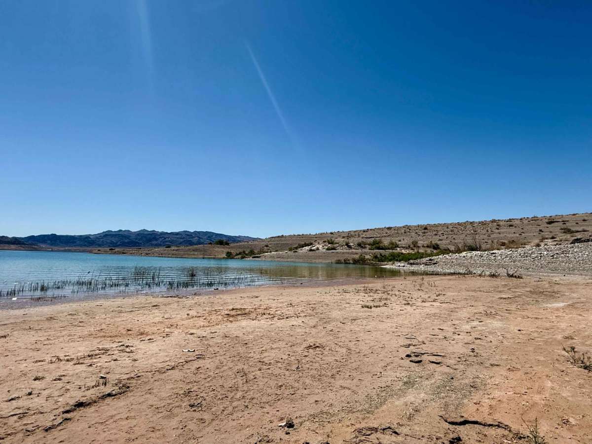 Boxcar Cove trail photo