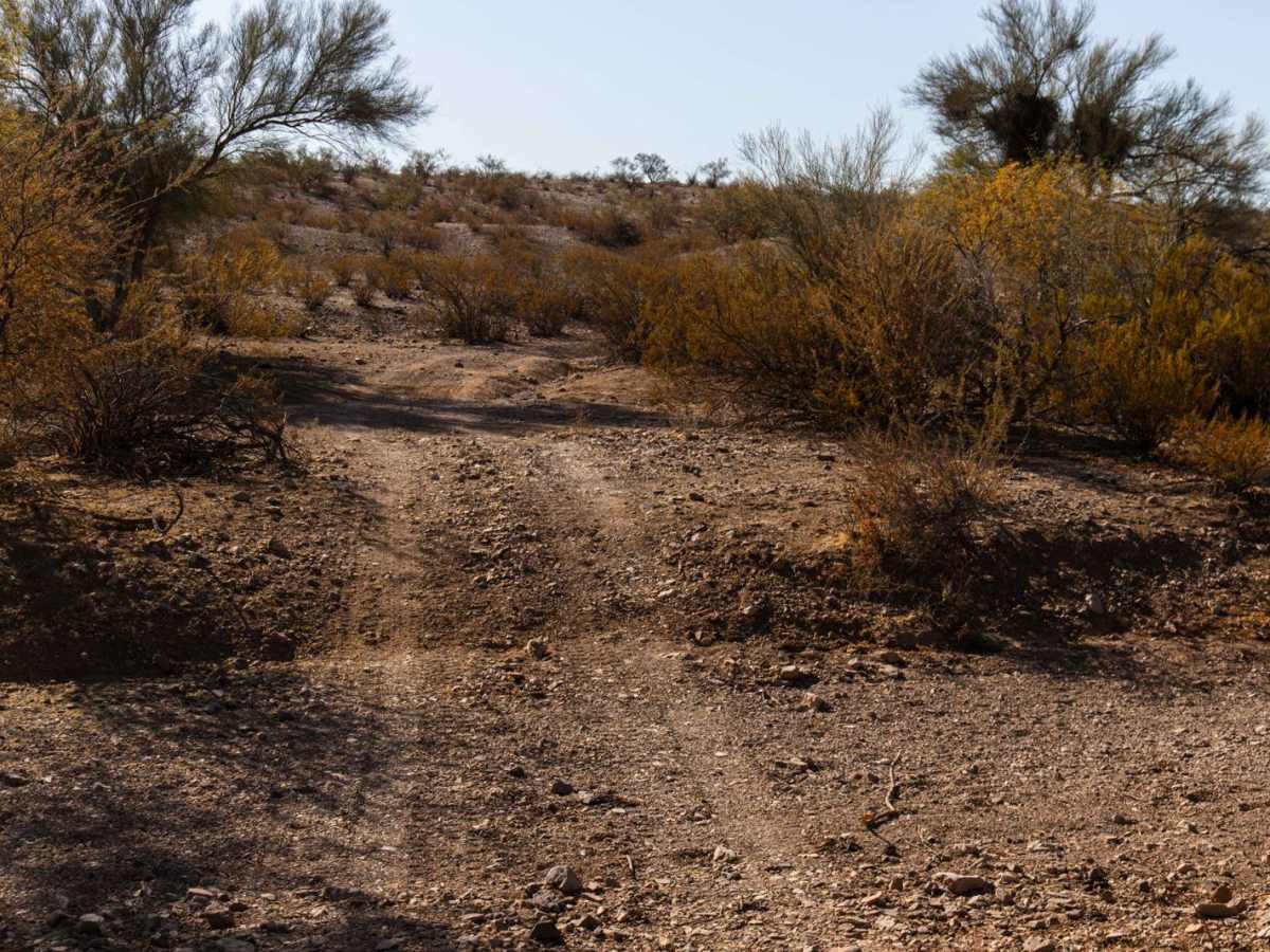 Rampleys Trail photo 5