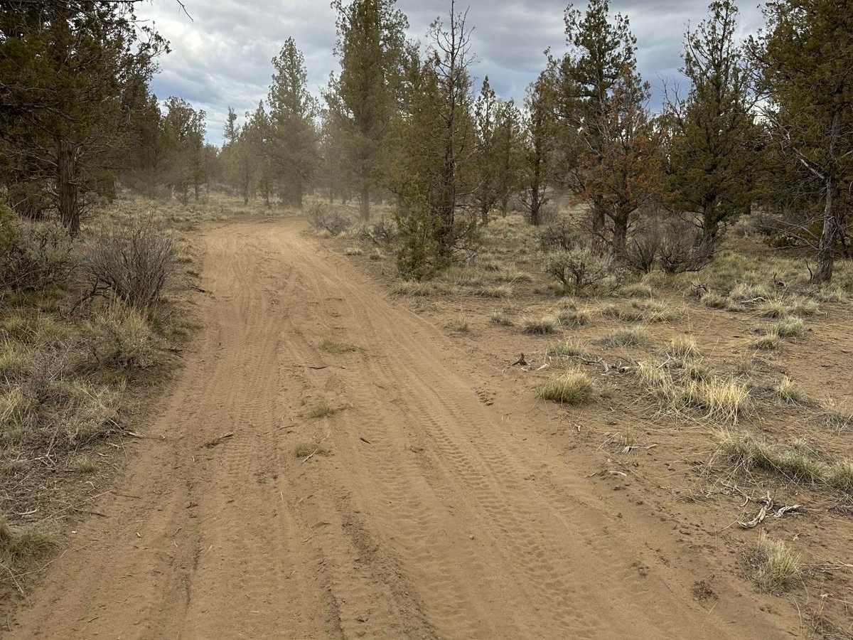 Buckhorn Loop photo 3