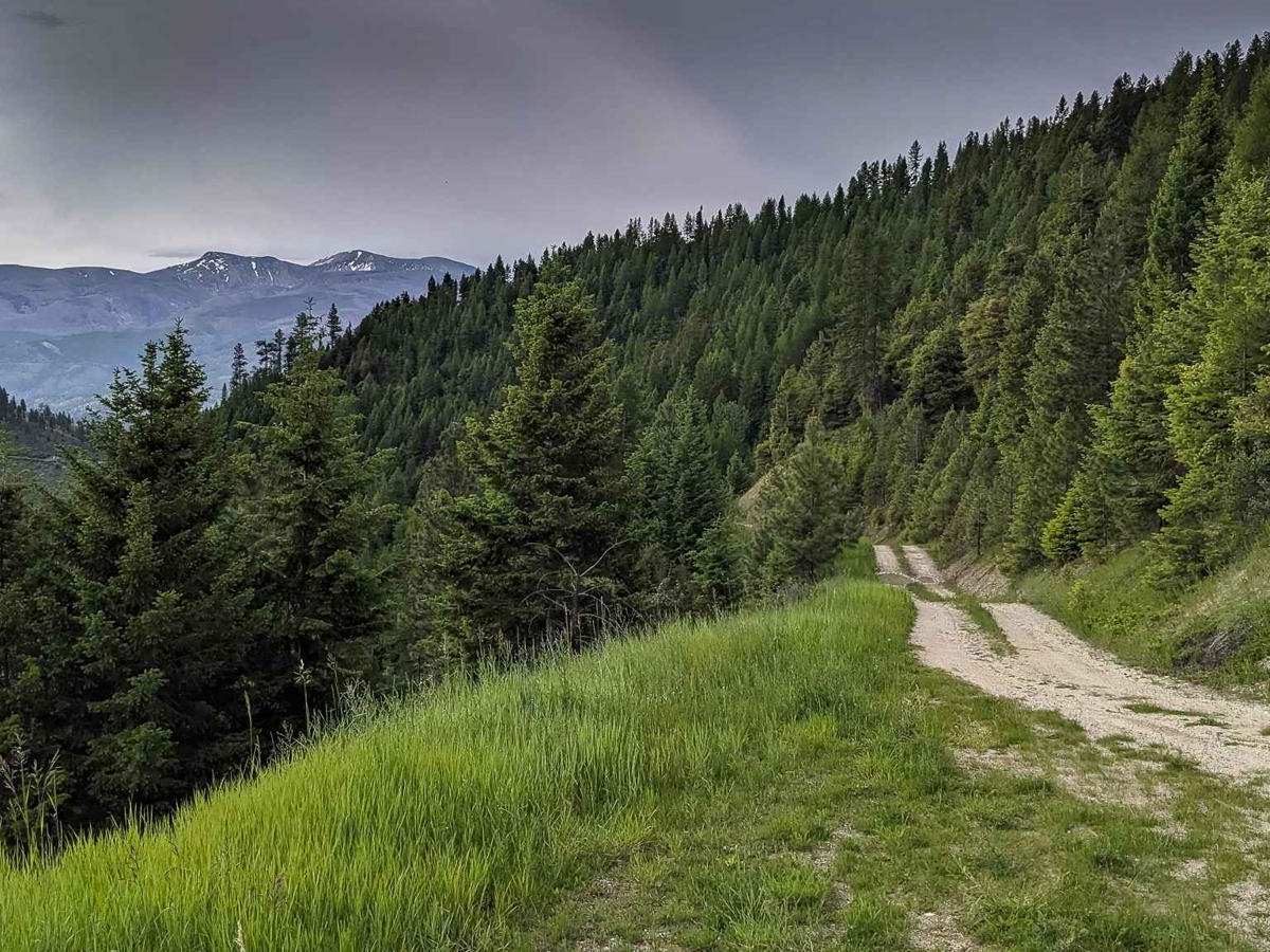 Bear Creek FS 504 and 4239 trail photo