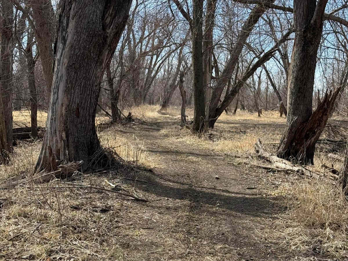 Dike Trail photo 3