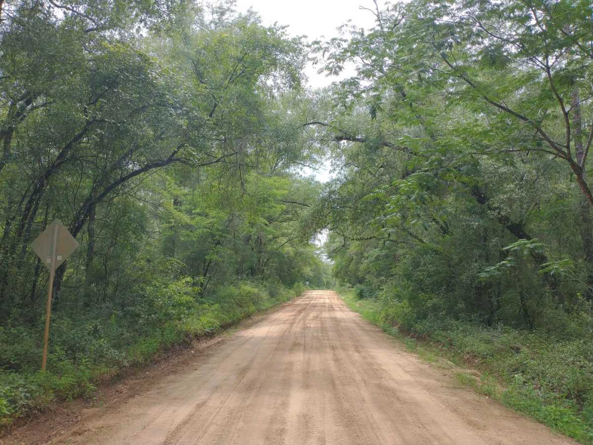 HW 20 Parrallel photo 2