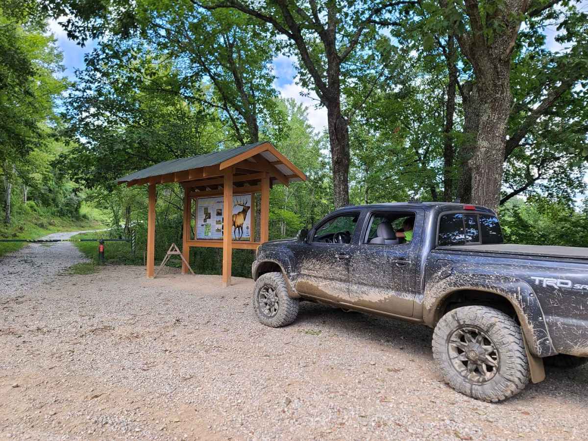 Elk Viewing Tower Road - Trail 25 photo 6