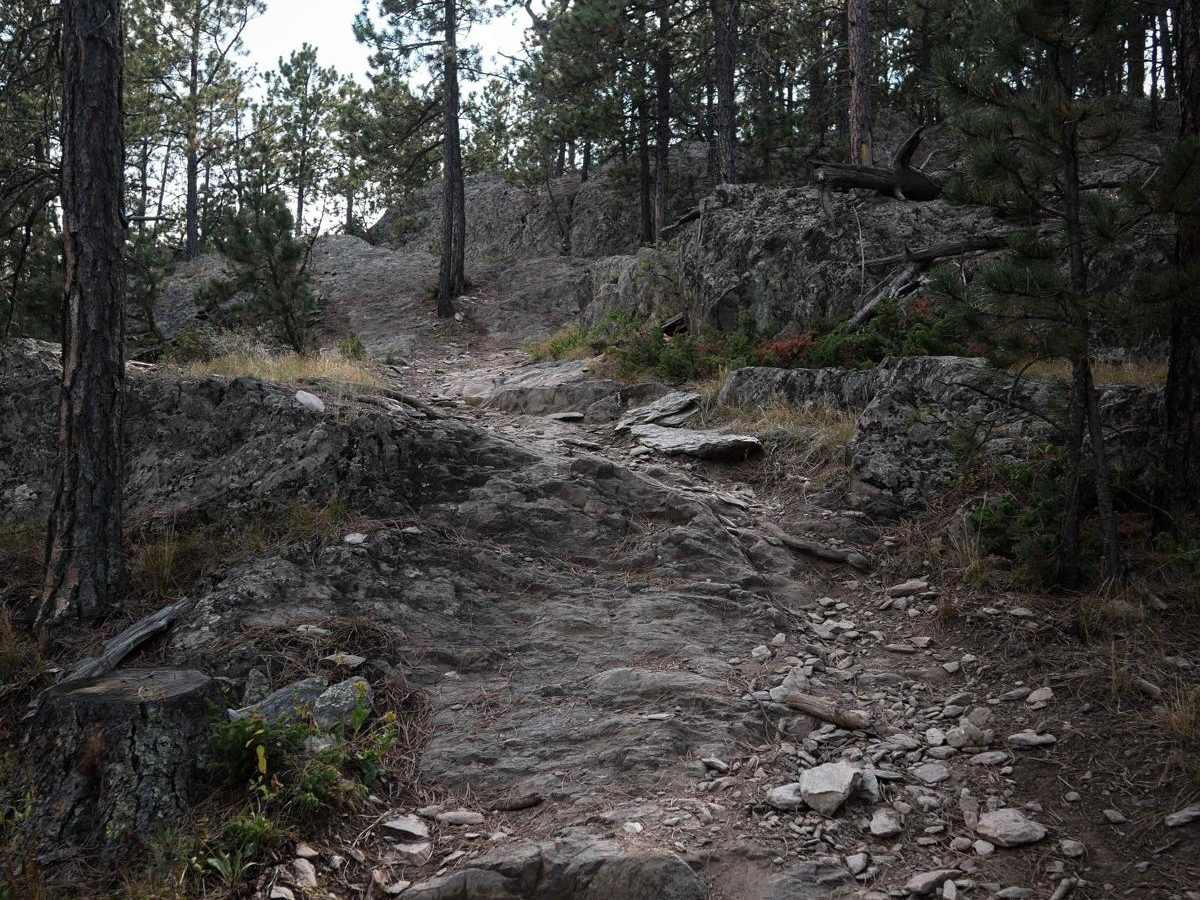 Nemo 8257 trail photo
