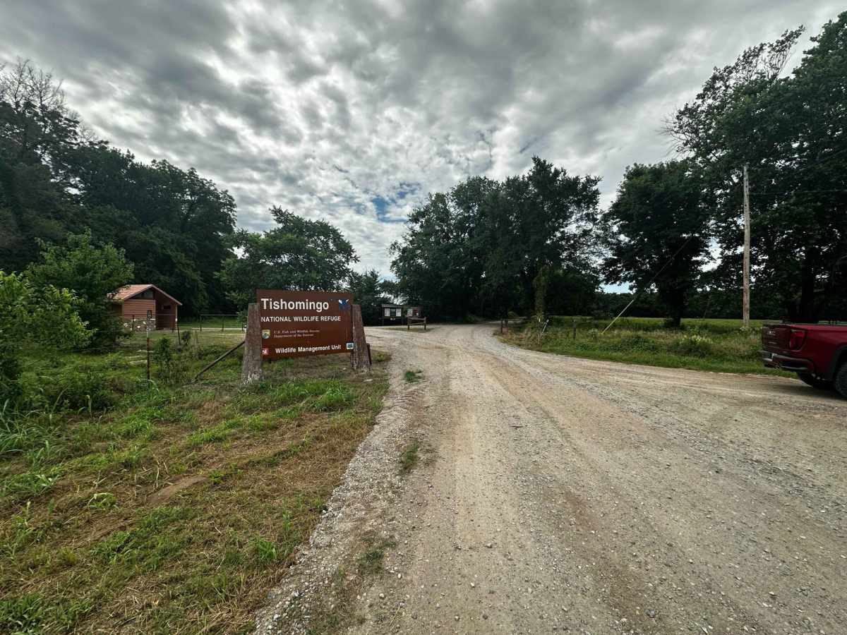 Unit Management Road trail photo