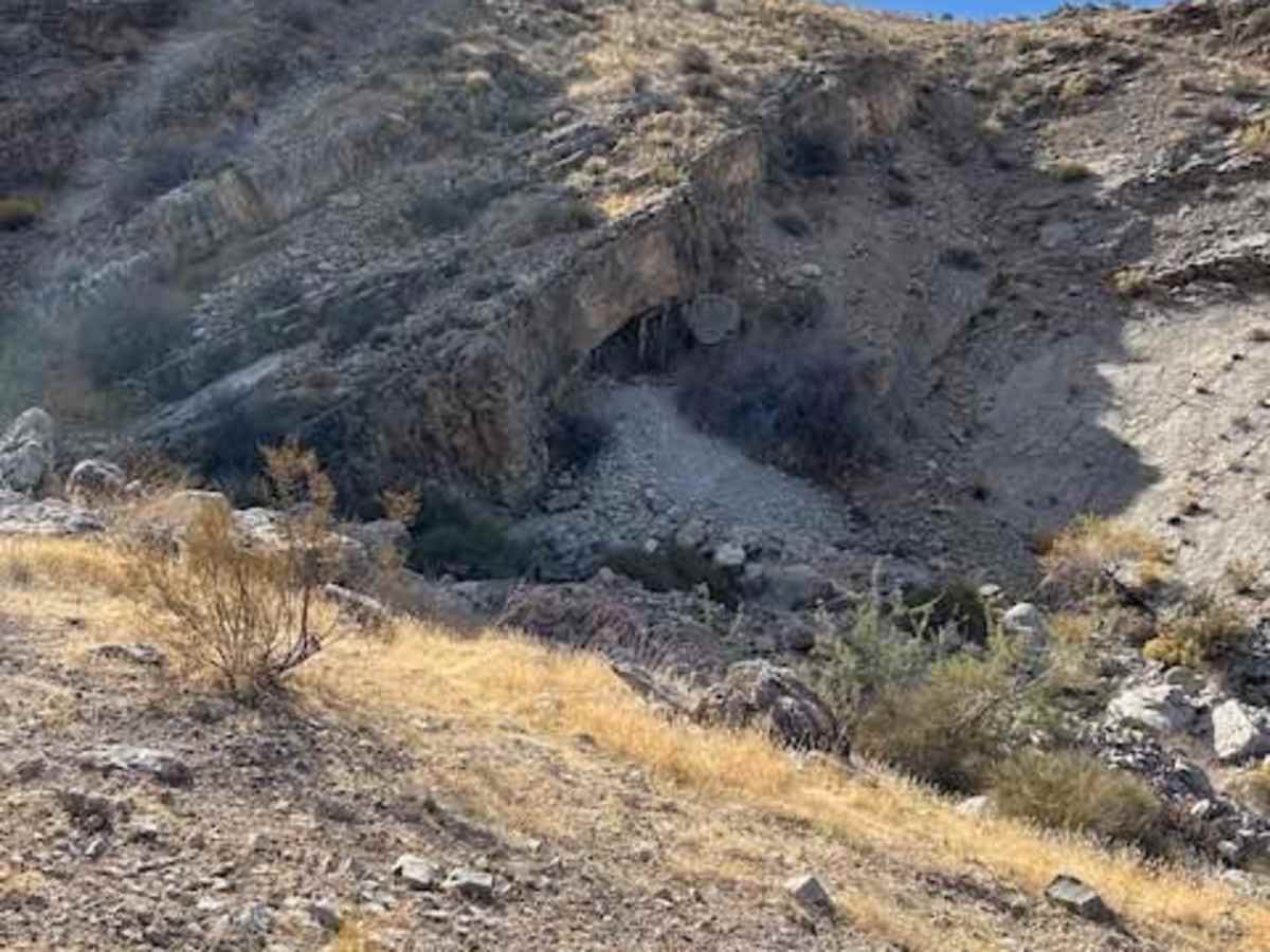 Tramp Mine Trail trail photo