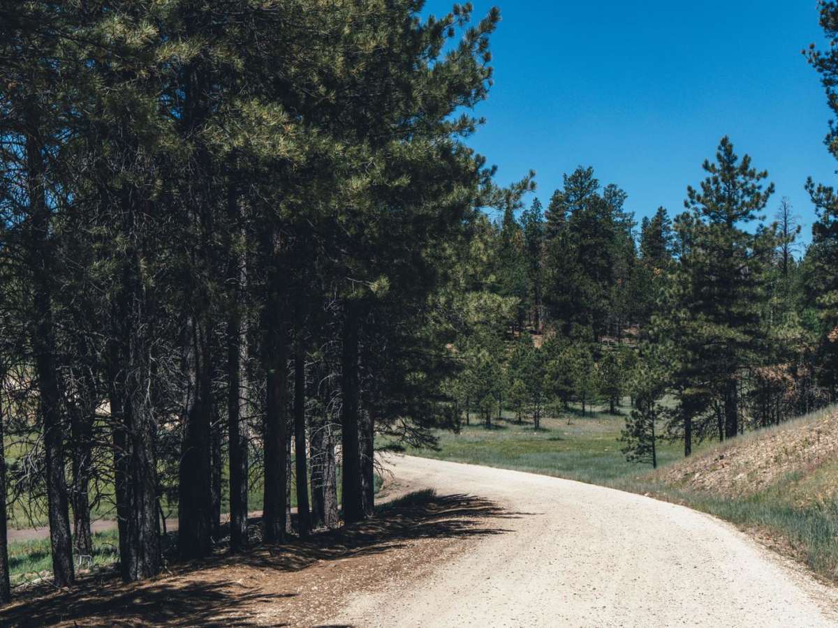 Corral Lake photo 6