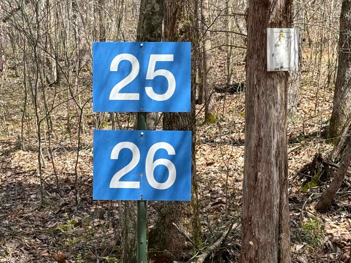Trail 23A photo 5
