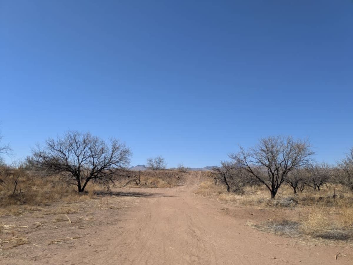 Middle Tank Loop photo 6