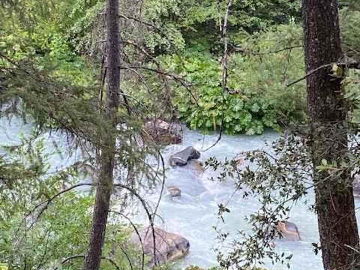 McCloud River 38N53 photo 4
