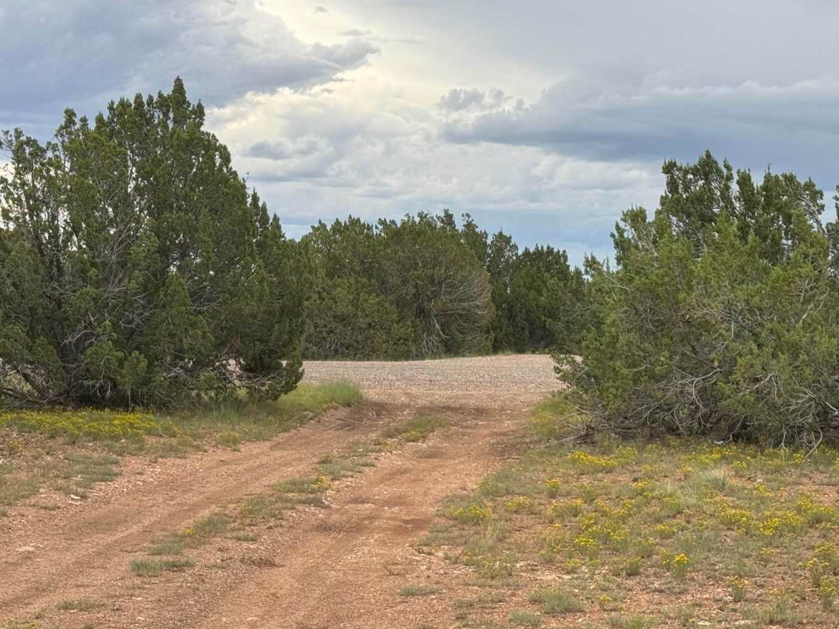 9423H Trail photo 2