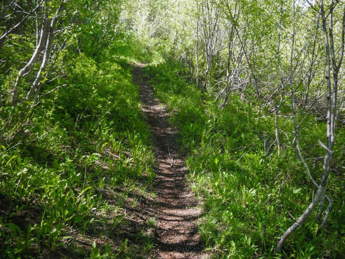 Mud Springs photo 4