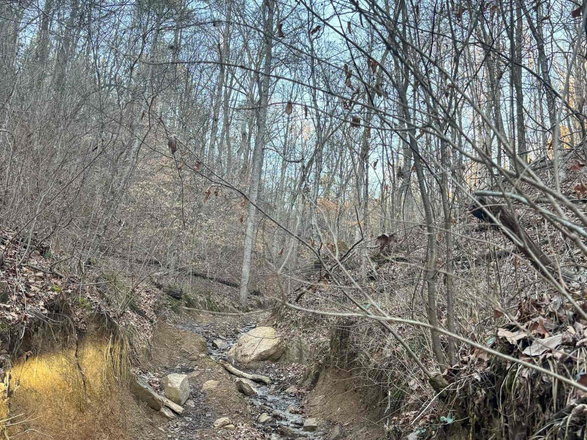 Briar Creek photo 6