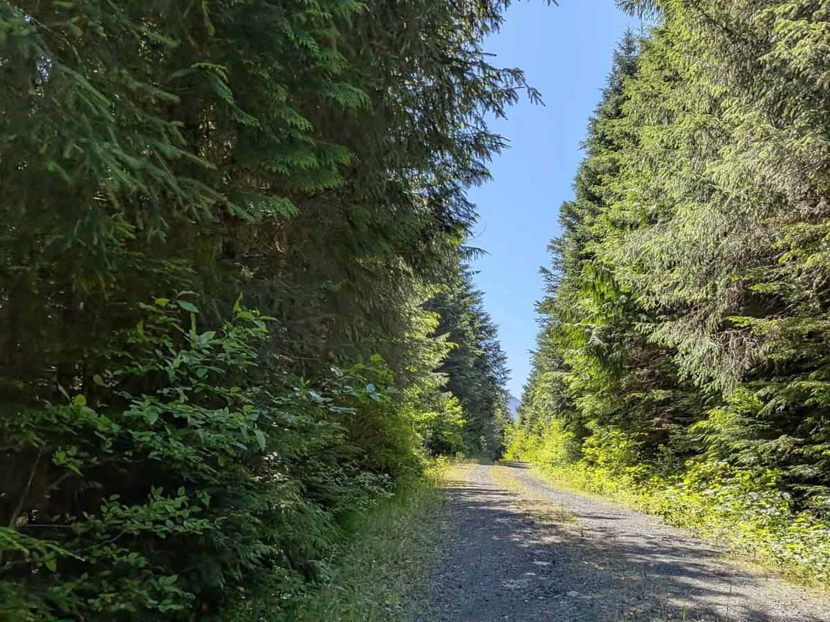 K Main Port Alice trail photo