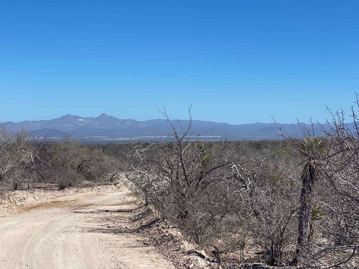Lopez Loop photo 3