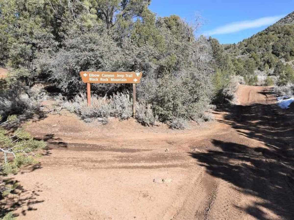 Elbow Canyon Road-Mohave County 229 (BLM1042) photo 6