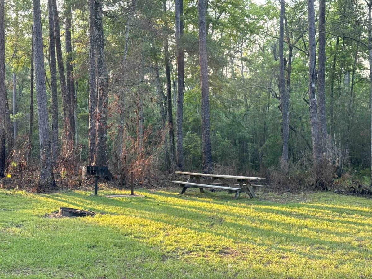 Nick's Camp Road photo 5