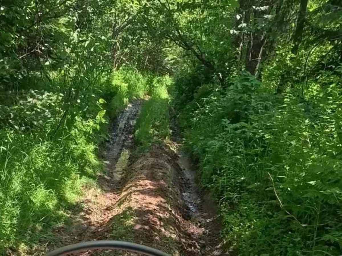 Coon Creek Trail (FDR 3300) photo 3