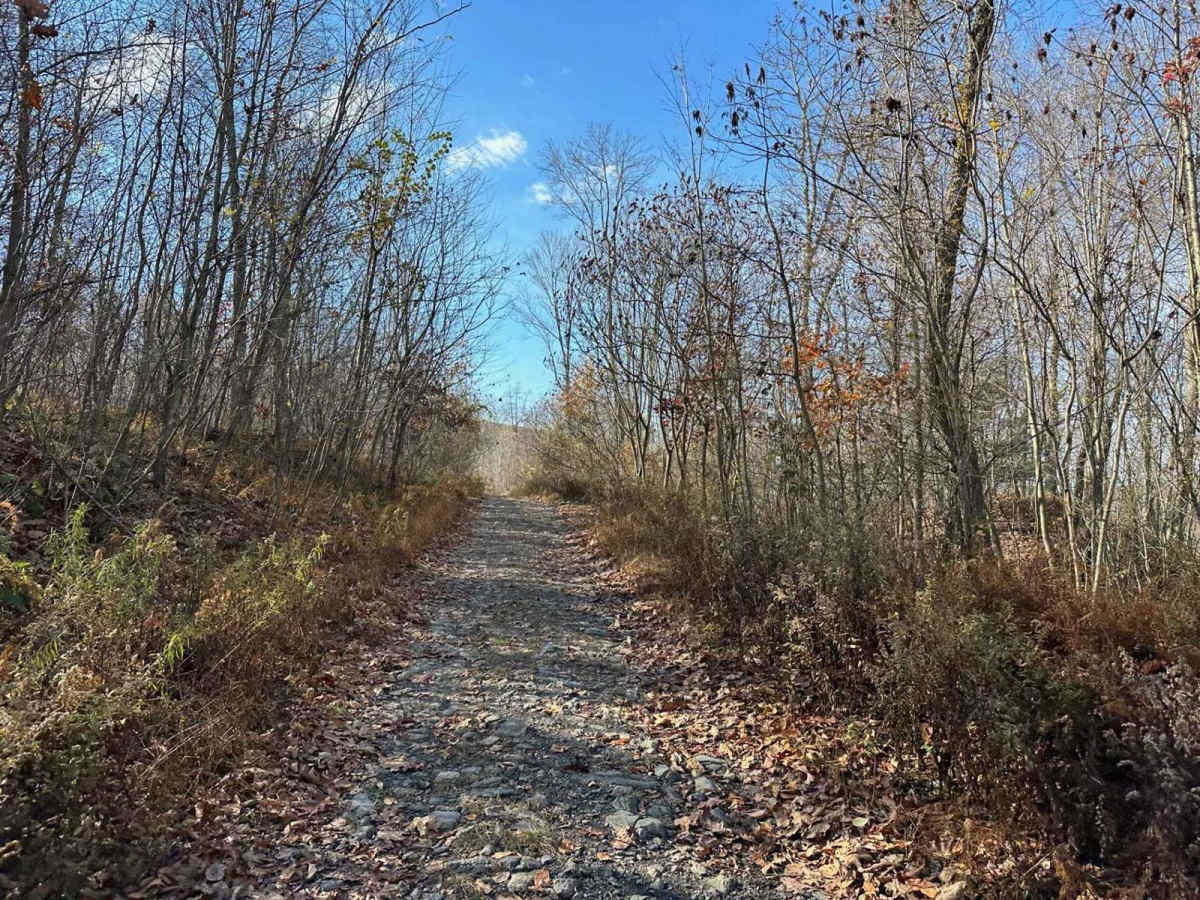Ashland 157 photo 2