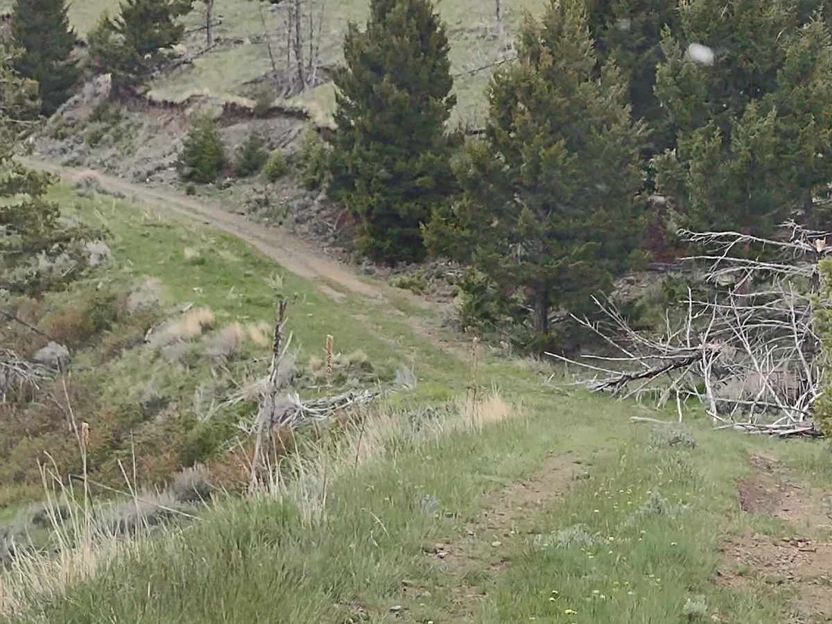 Cold Springs Road trail photo