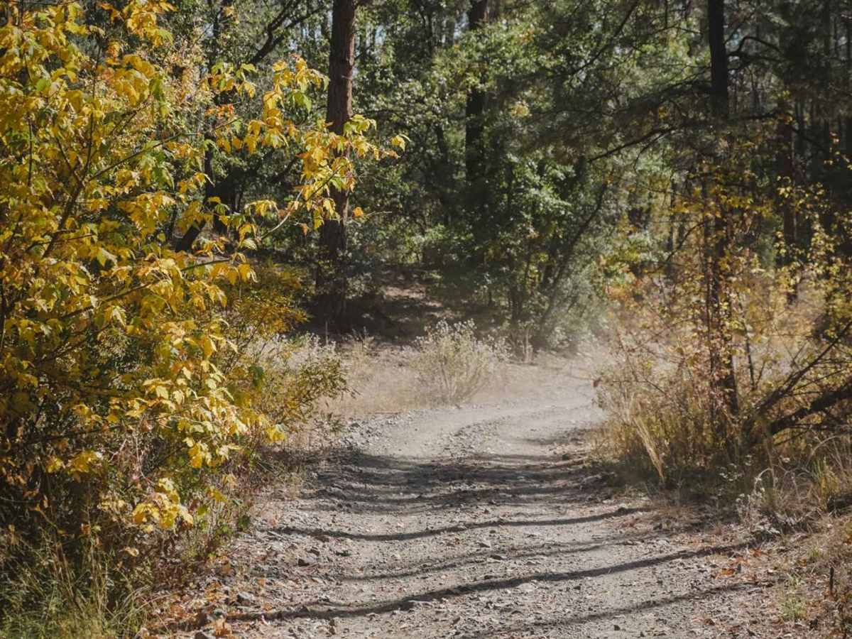 Schoolhouse Gulch trail photo
