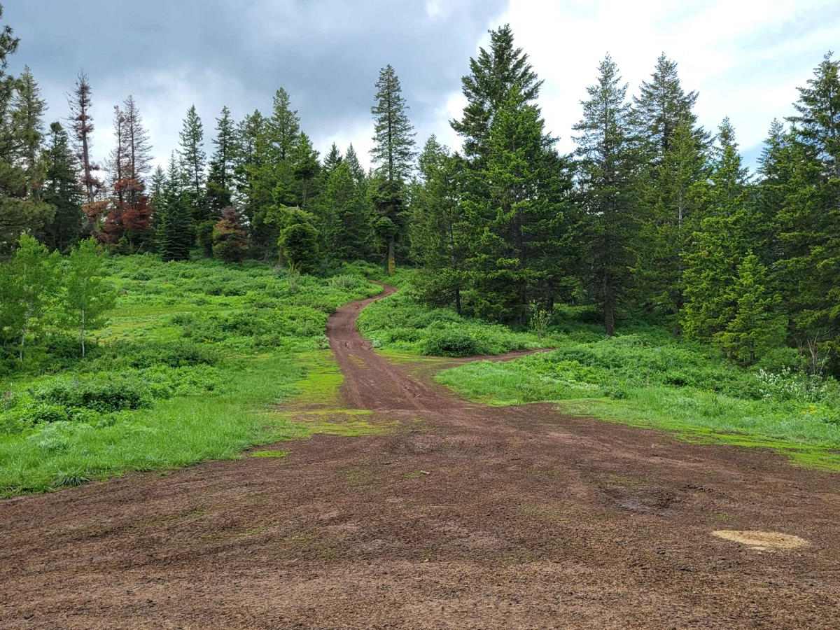 FR 306 - Iron Mountain Trail photo 2