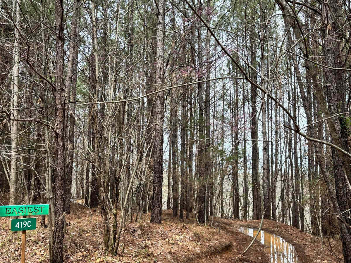 419C trail photo