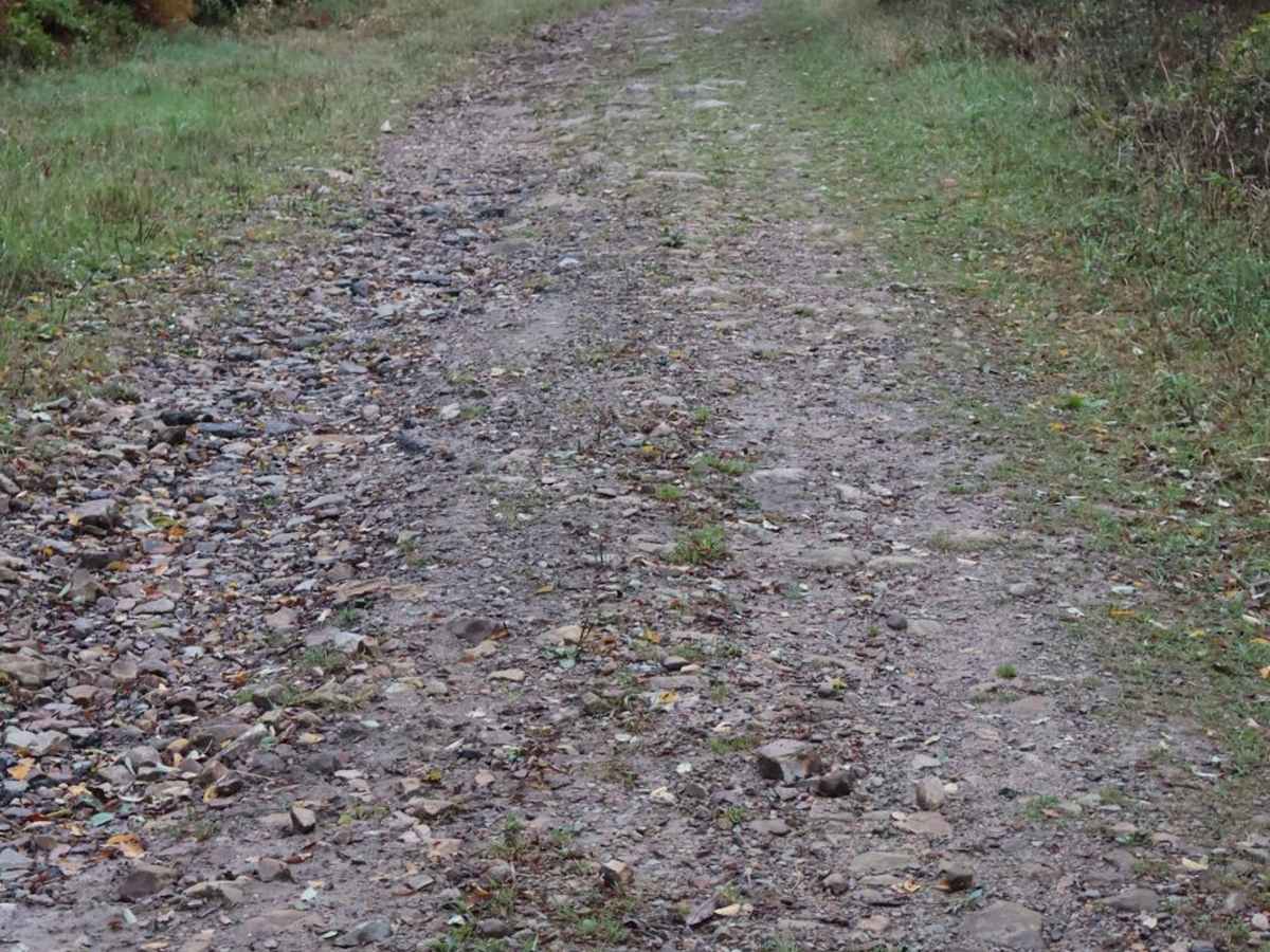 John Henry Road photo 5