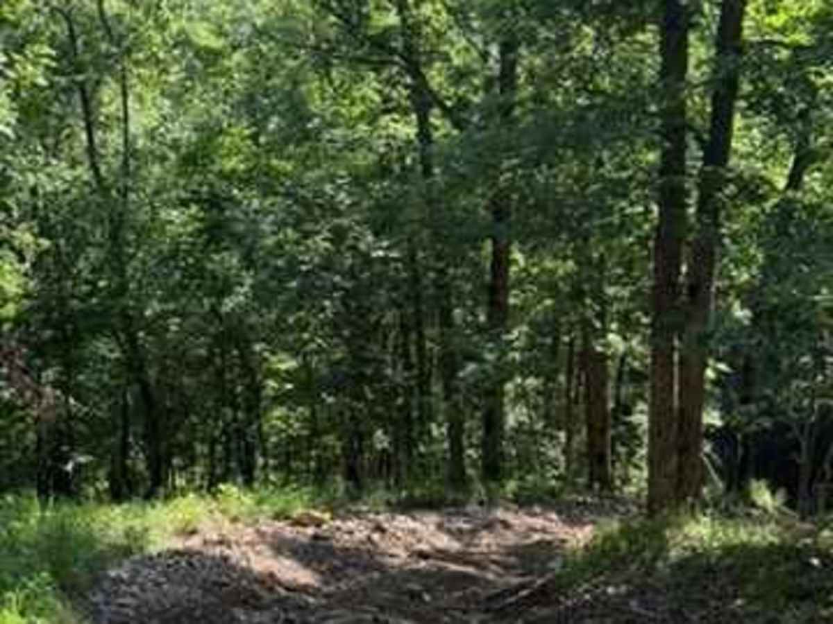 Blake's Trail 2.0 photo 2