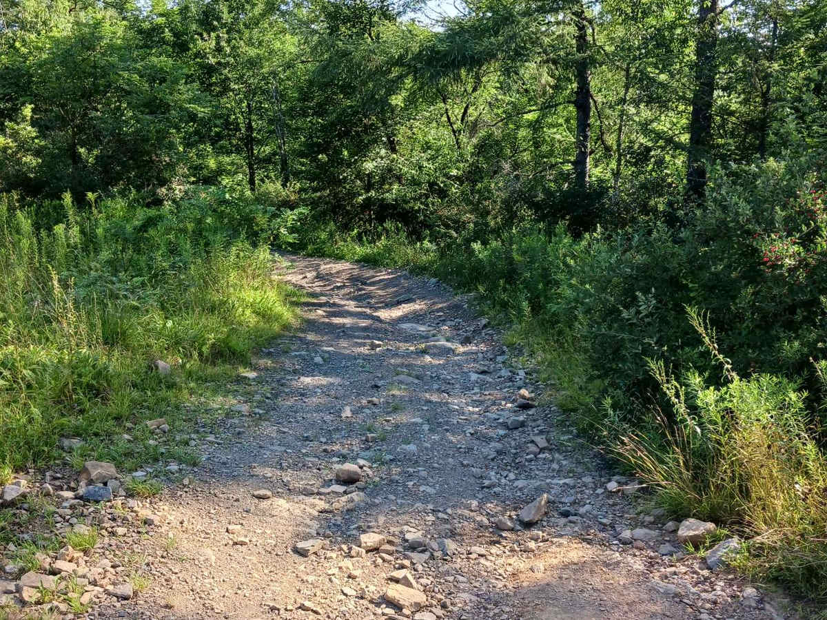 Trail 12Q - Rock Run Recreation Area photo 3