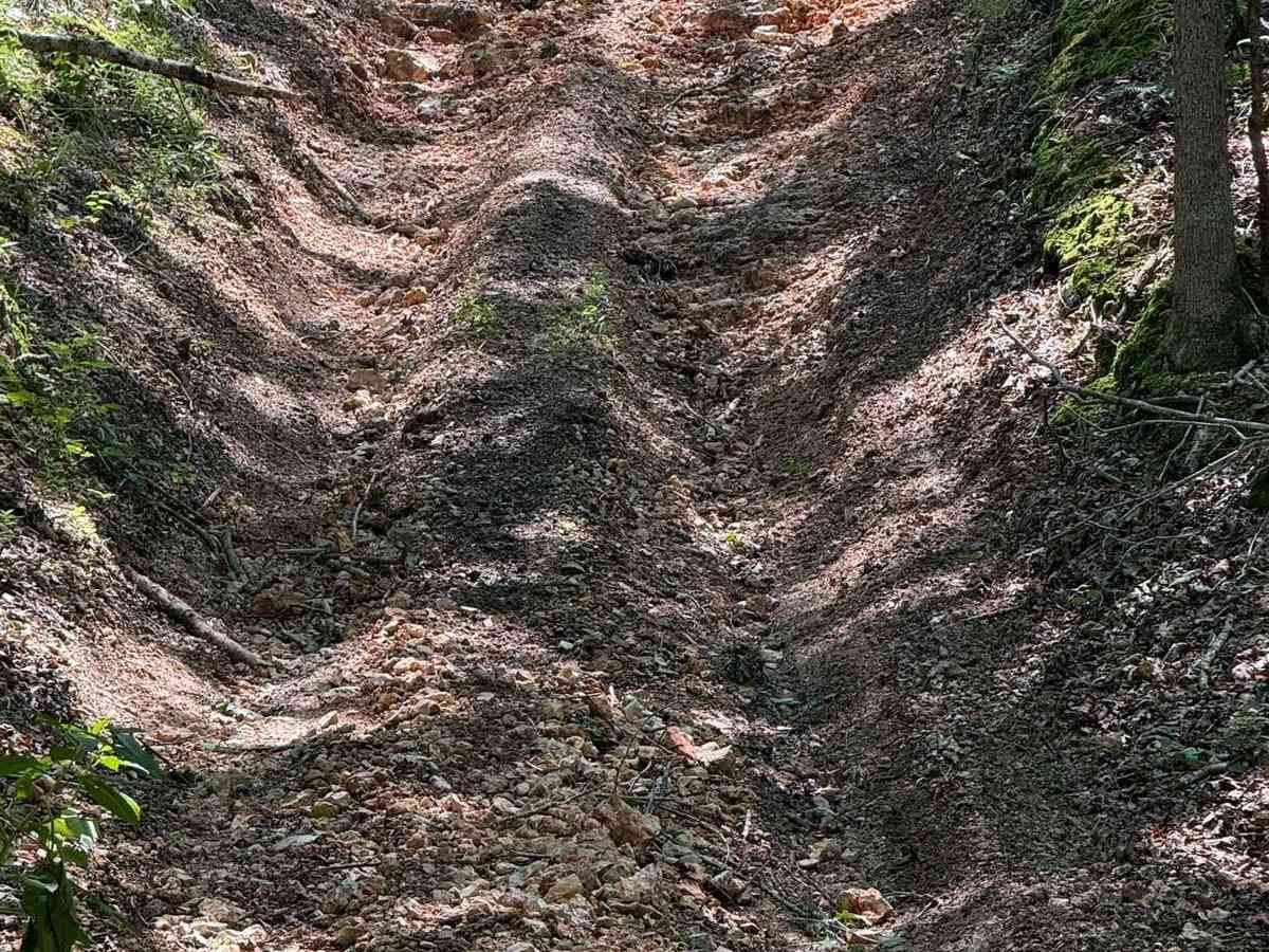 Joey's Trail photo 5