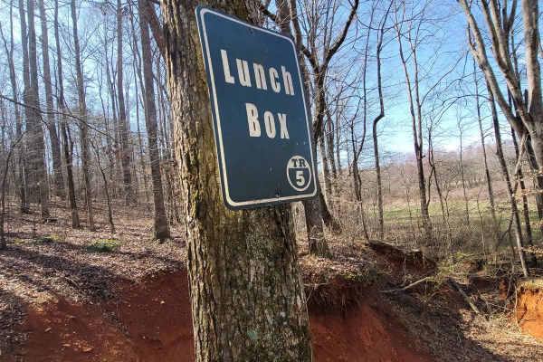 Lunch Box