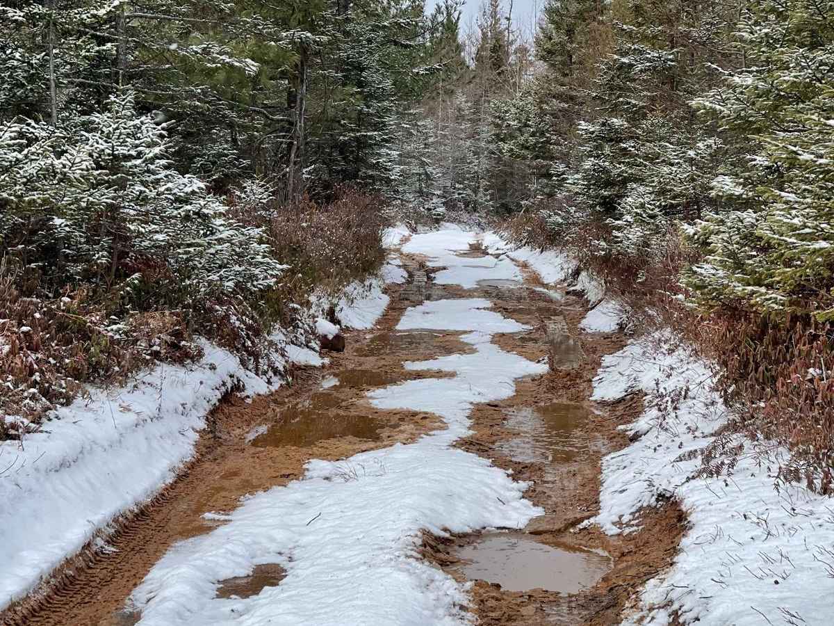 Wet Meadow Road photo 5