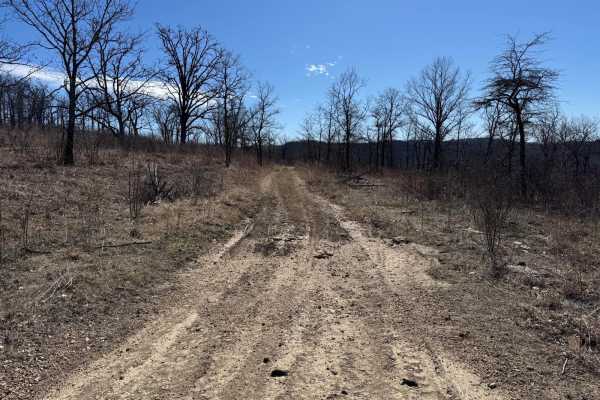 Brushy Ridge Spur B - FSR 606B