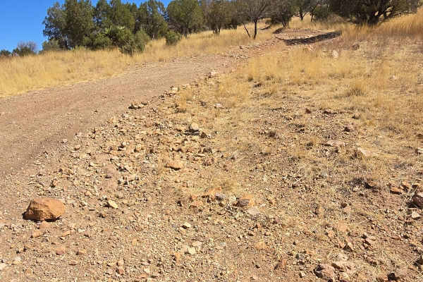 Hog Ridge - Trail 4859