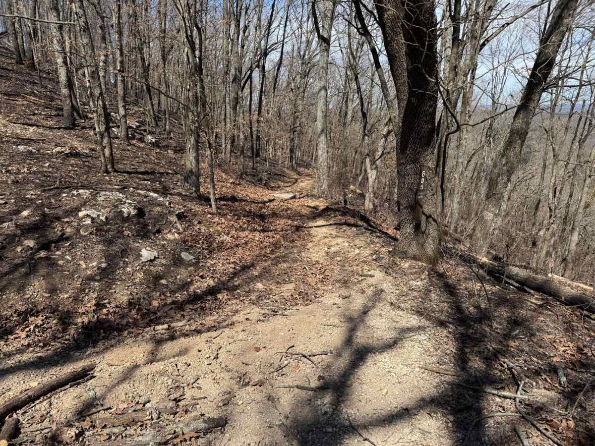 FSR 605 trail photo