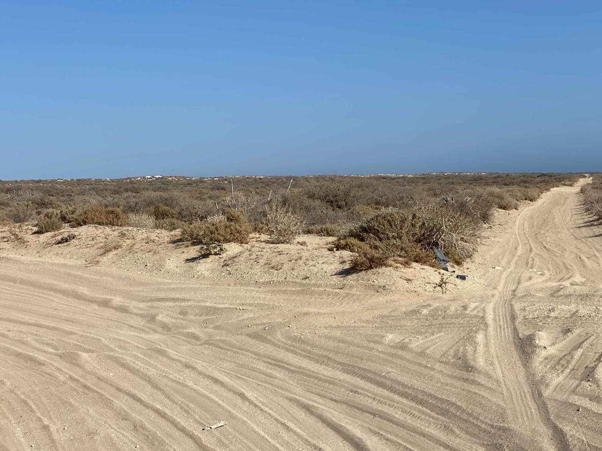 Coastal Route Punta Prieta to Estero de La Bocana photo 6