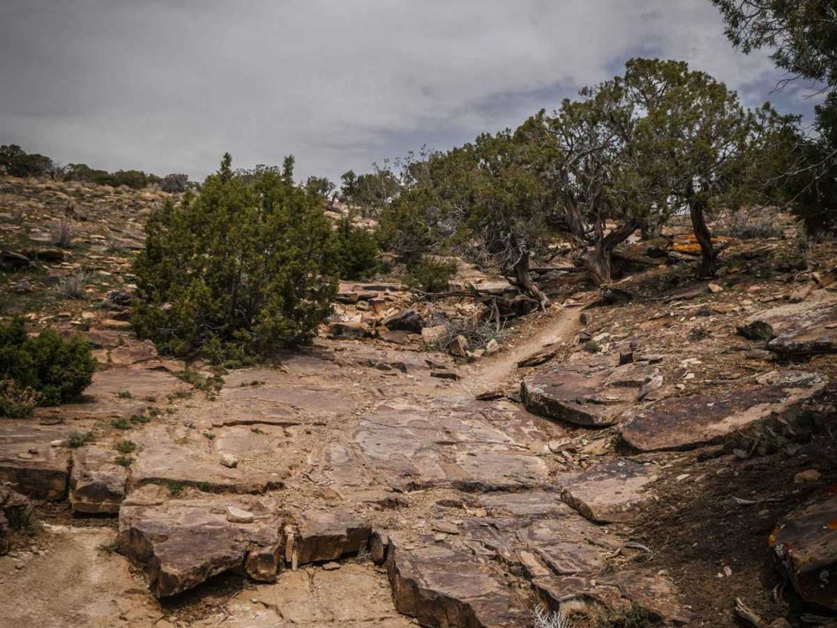 Black Ridge photo 2
