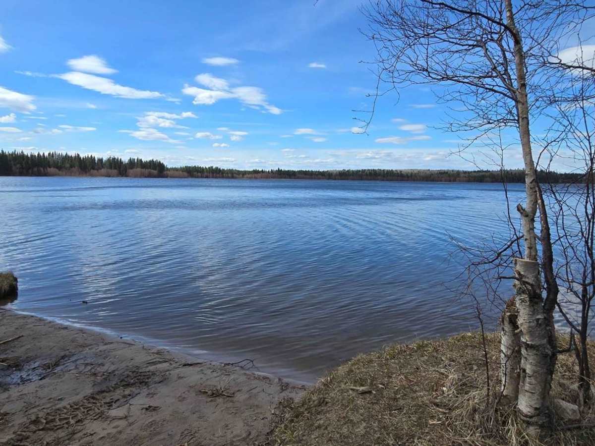 Gosling Lake Trail photo 5