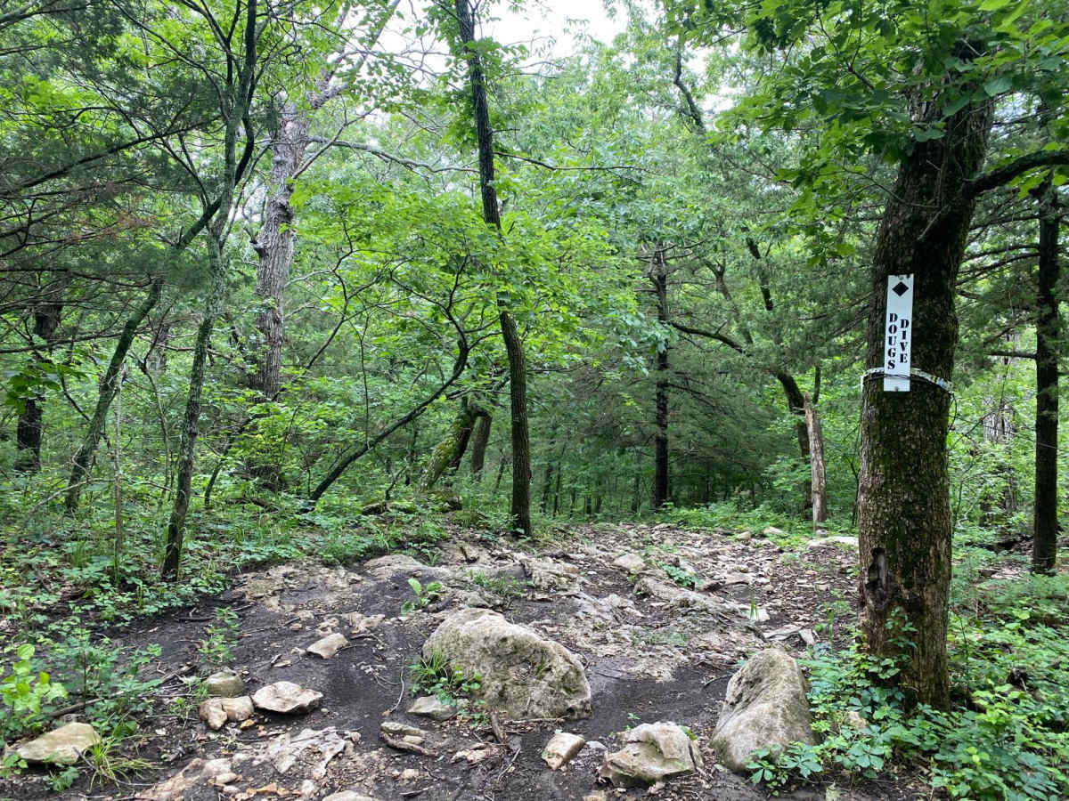 Doug's Dive trail photo