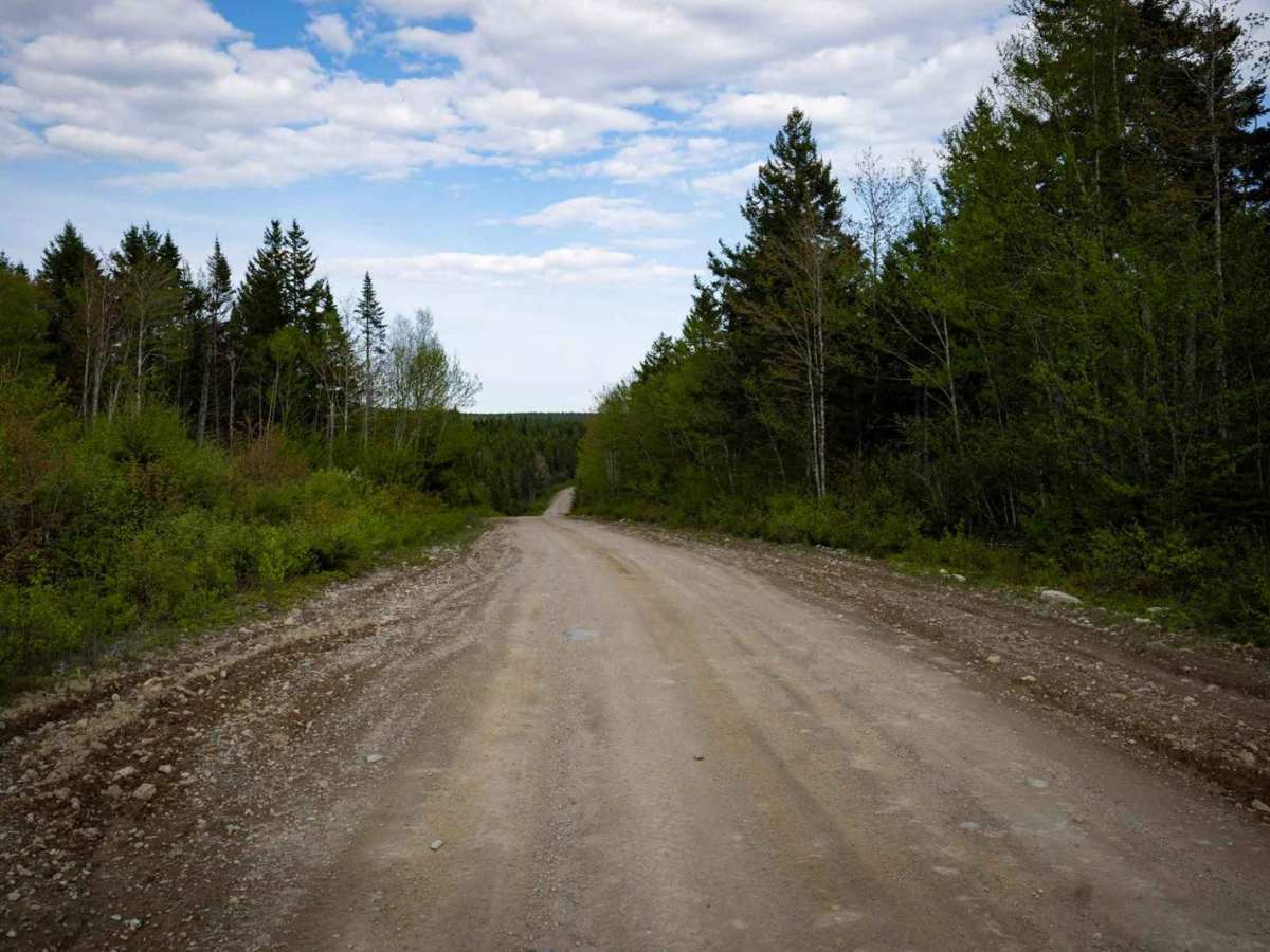 White Car Trail photo 2