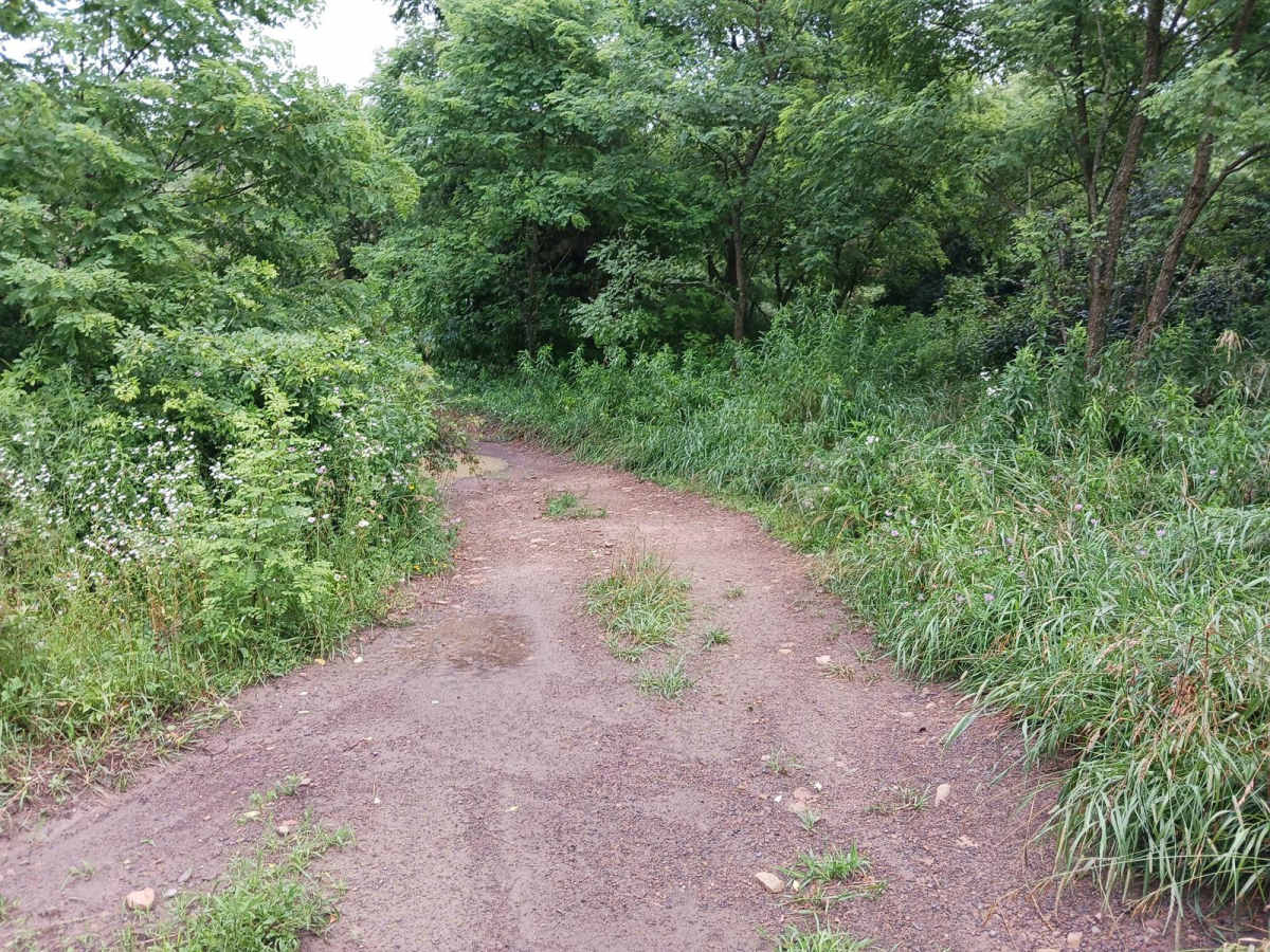 Trail 5H - Rock Run Recreation Area photo 3