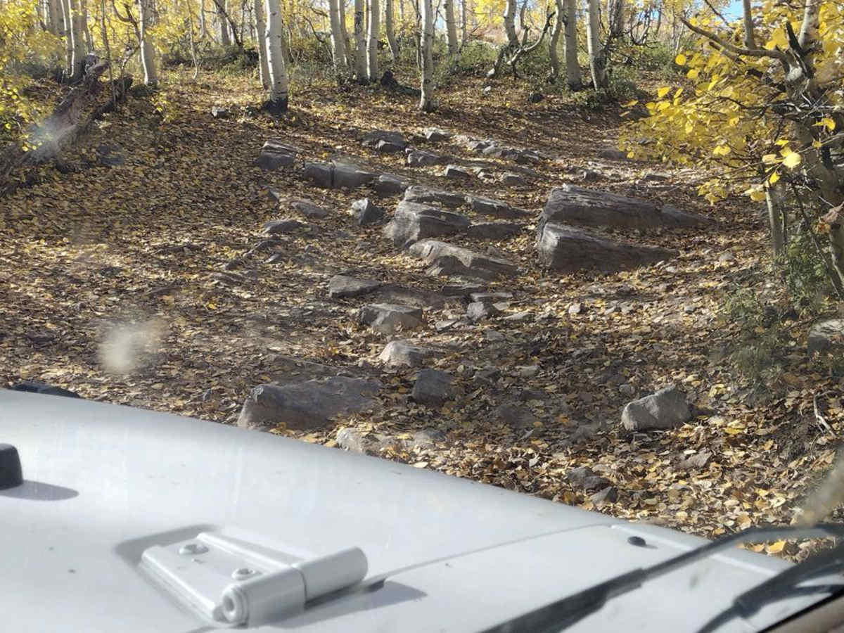 Trail Hollow West FS 10412 photo 5