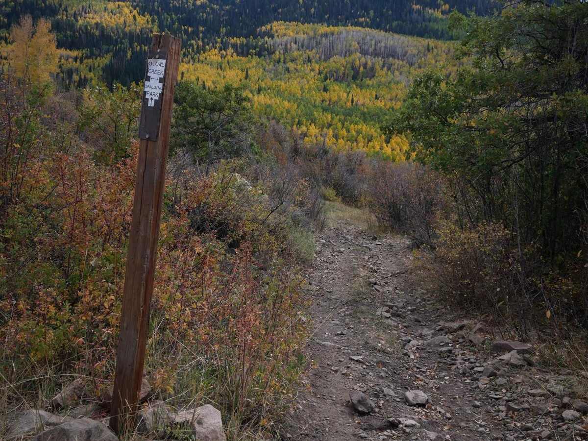 Spalding Park ATV trail photo