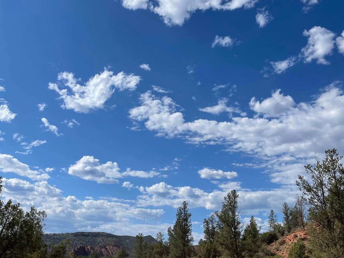 Alternative Access to Cathedral Rock photo 5