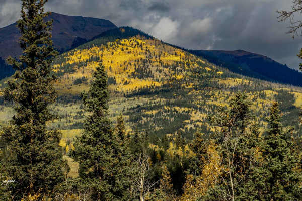Bear Gulch Road - 158
